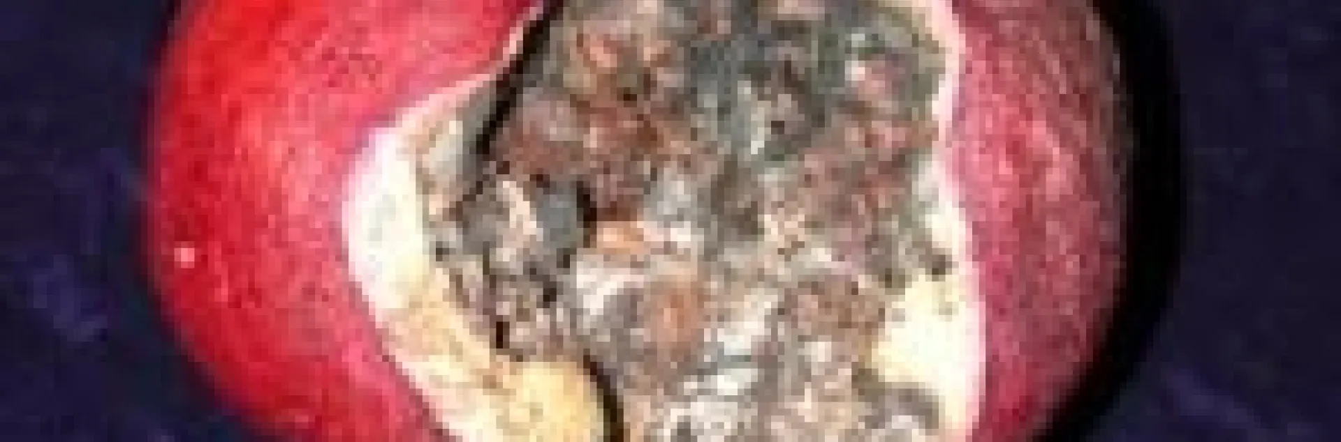 blackheart pomegranate