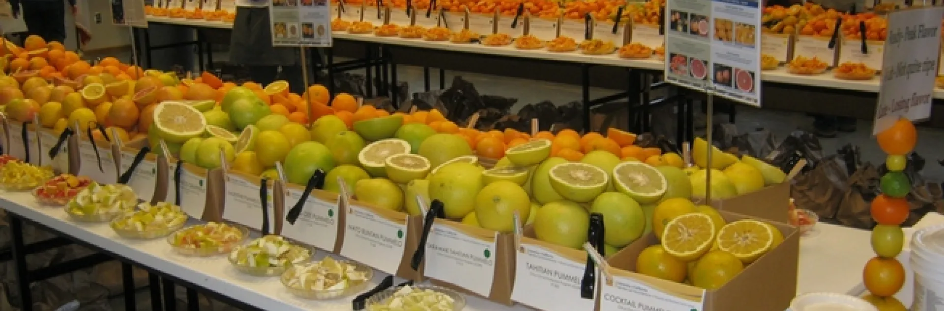 citrus display
