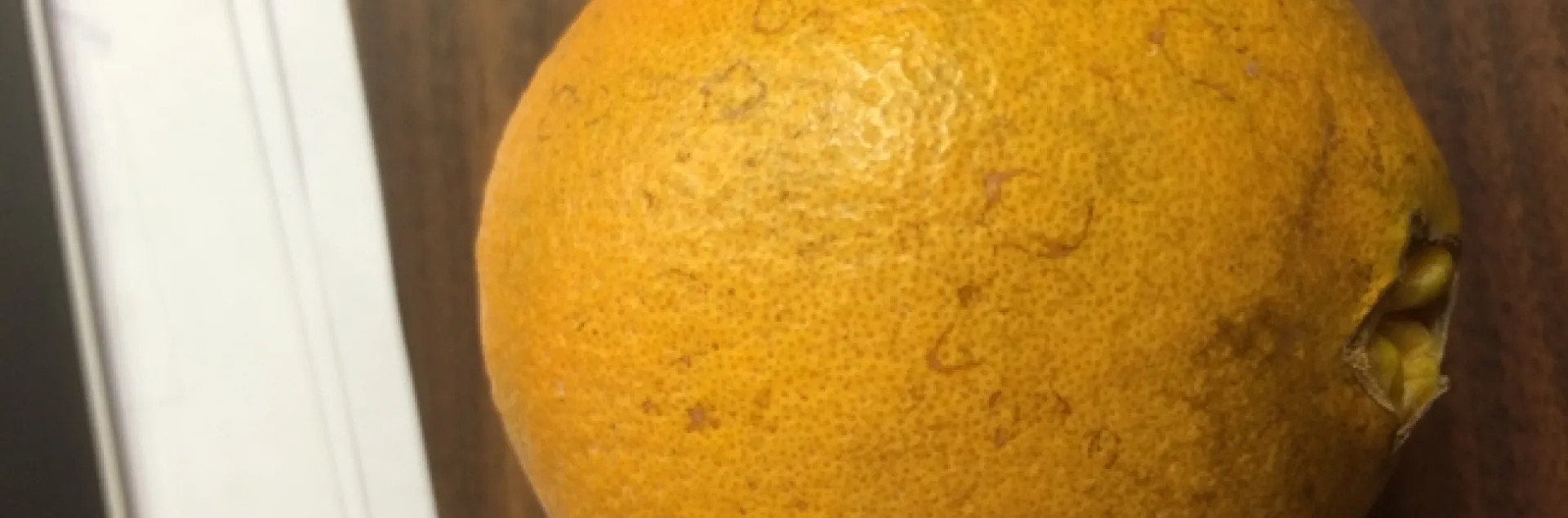 valencia rind stain 2