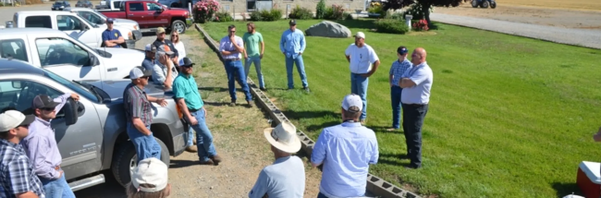 Strip Field Day at Marty Poldevarrt MTSJ Dairy, Orland, CA