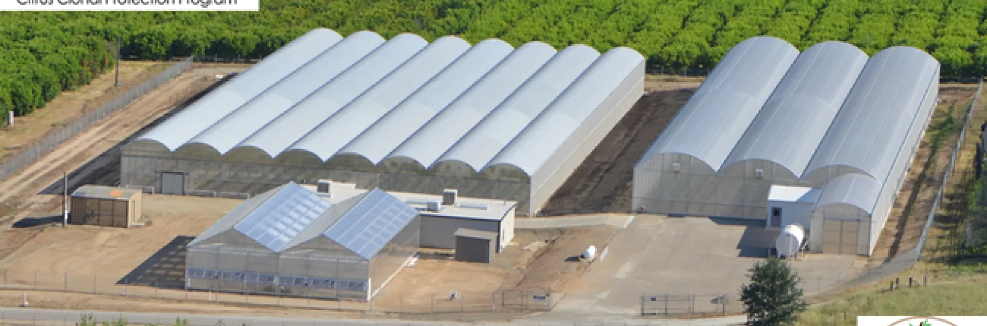 CCCP foundation block operations at Lindcove