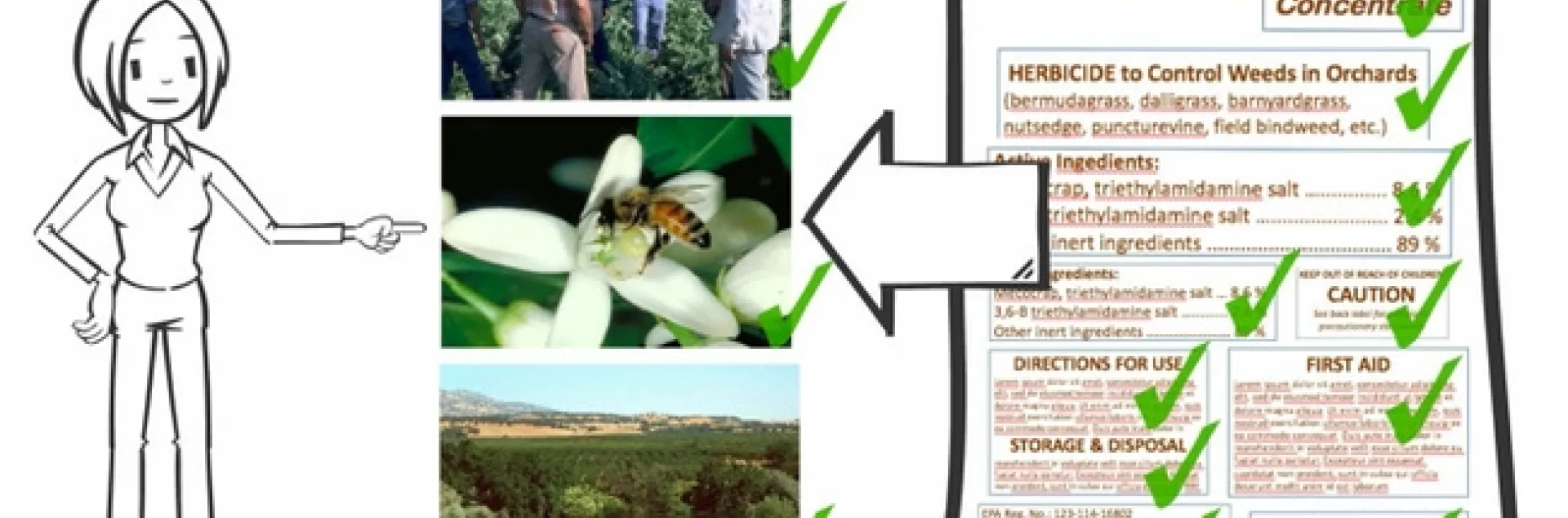 weed label screen