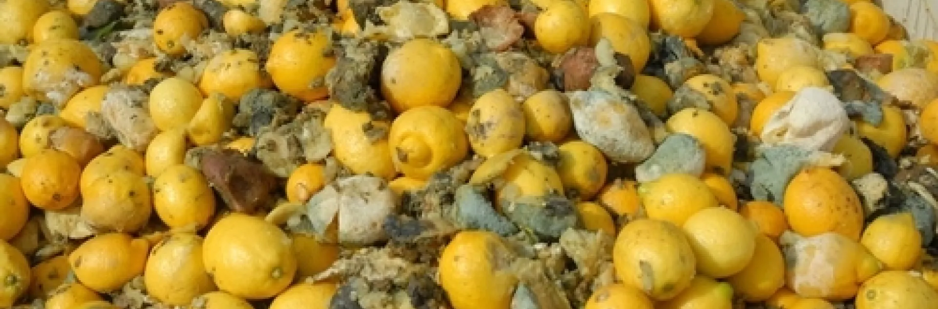 lemon waste
