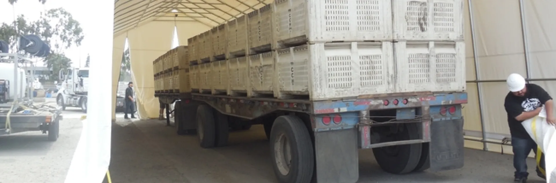 Preparing to seal up the citrus crates