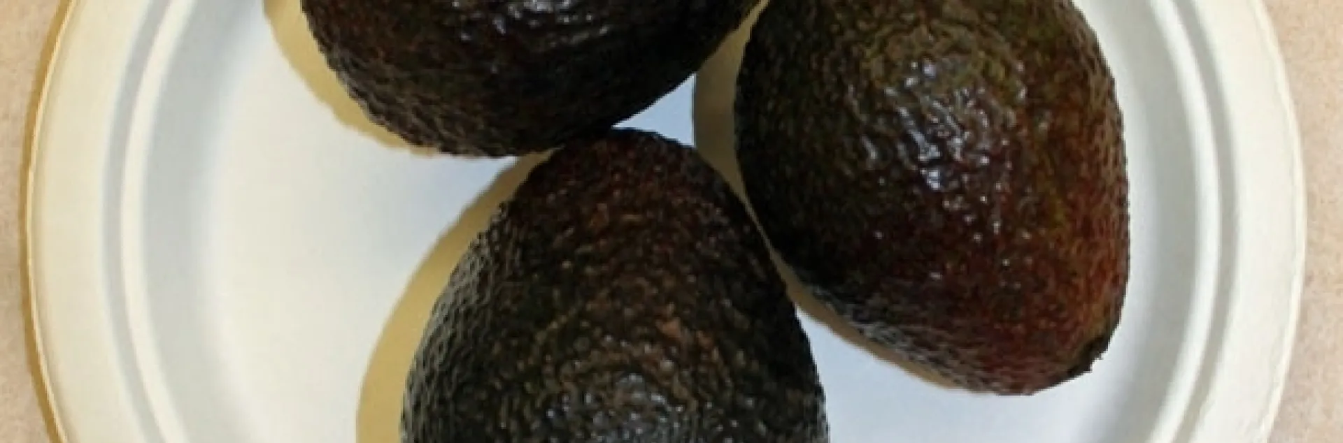 unnamed avocado variety