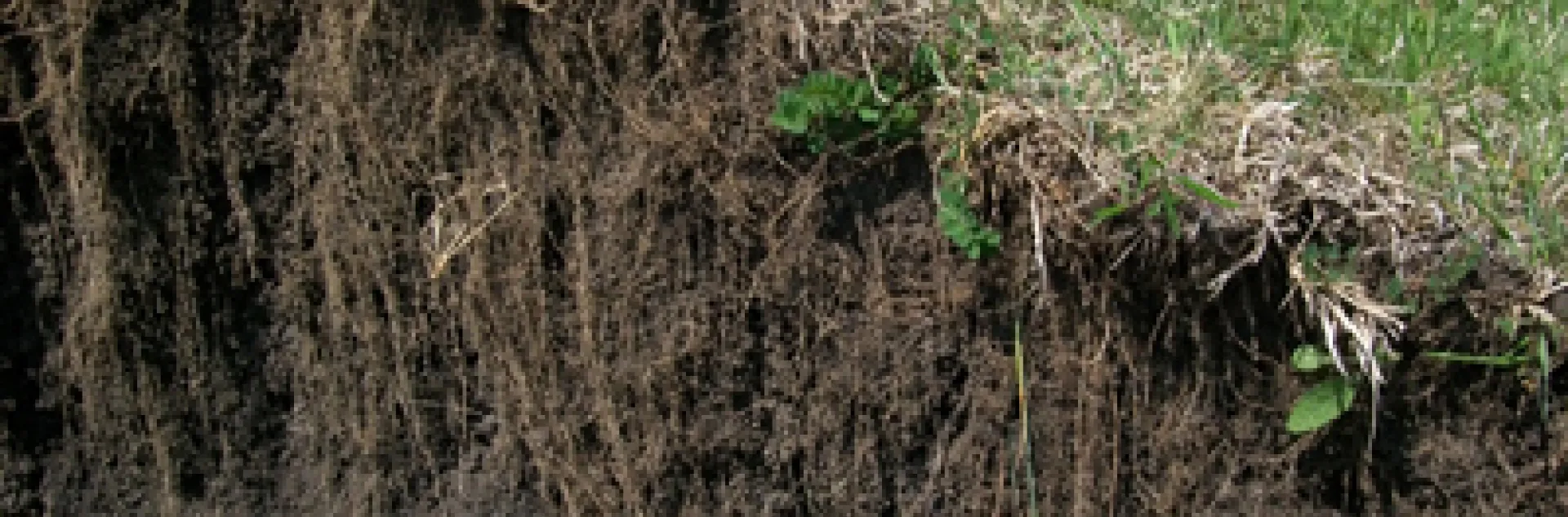 soil weathered from rock