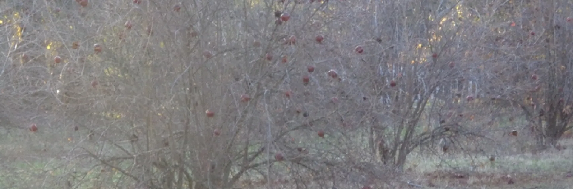 photo by Michelle Davis