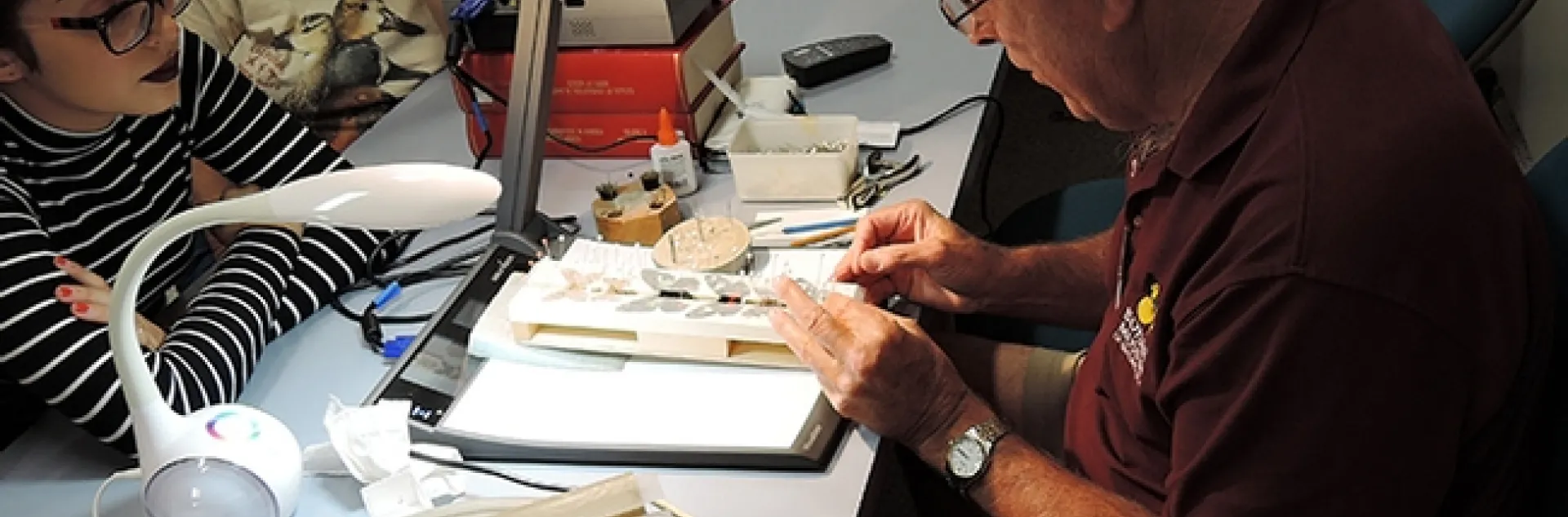 Entomologist Jeff Smith, who curates the butterfly/moth collection at the Bohart Museum, enjoys sharing knowledge about insects. (Photo by Kathy Keatley Garvey)