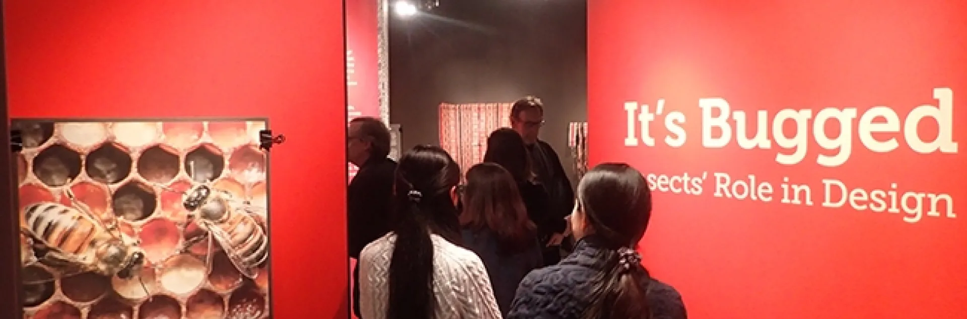 The Design Museum in Room 124 of Cruess Hall will be open during the Biodiversity Museum Day from noon to 4 p.m. The theme: "It's Bugged: Insects' Role in Design." The bee photo is by UC Davis alumnus Alex Wild. (Photo by Kathy Keatley Garvey)