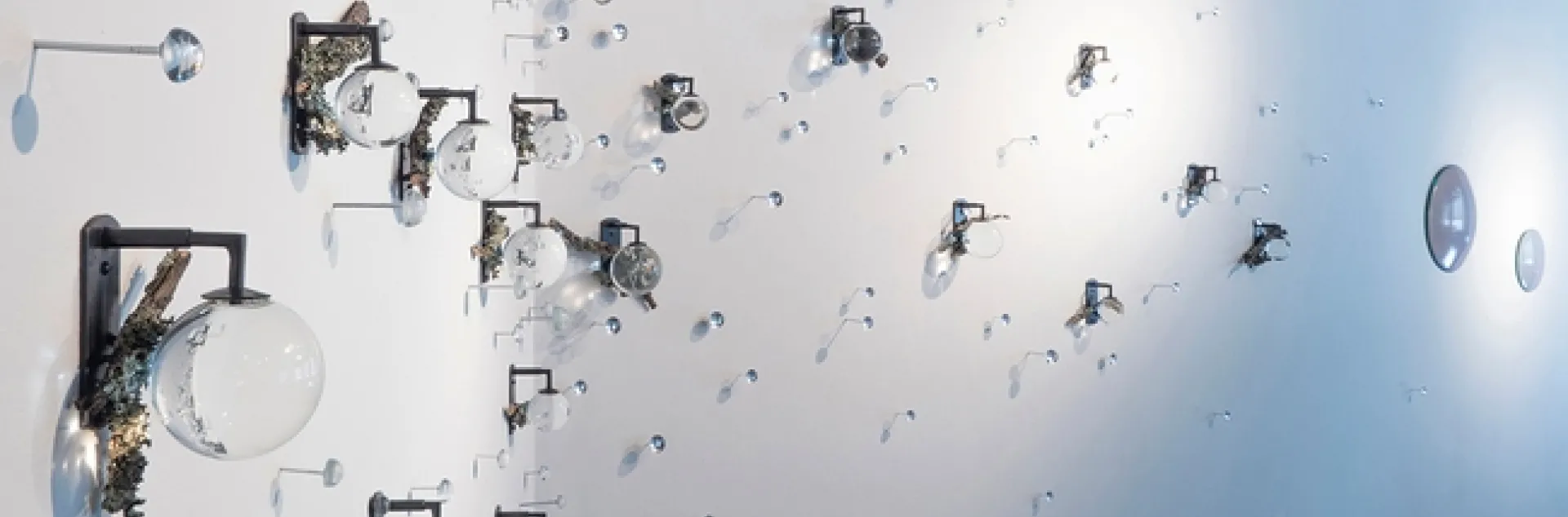 One of the art works on display depicts lichen and is by Allison Leigh Holt, an Oakland-based cross-disciplinary artist who works at the “intersection of sculpture, video, installation and performance.”