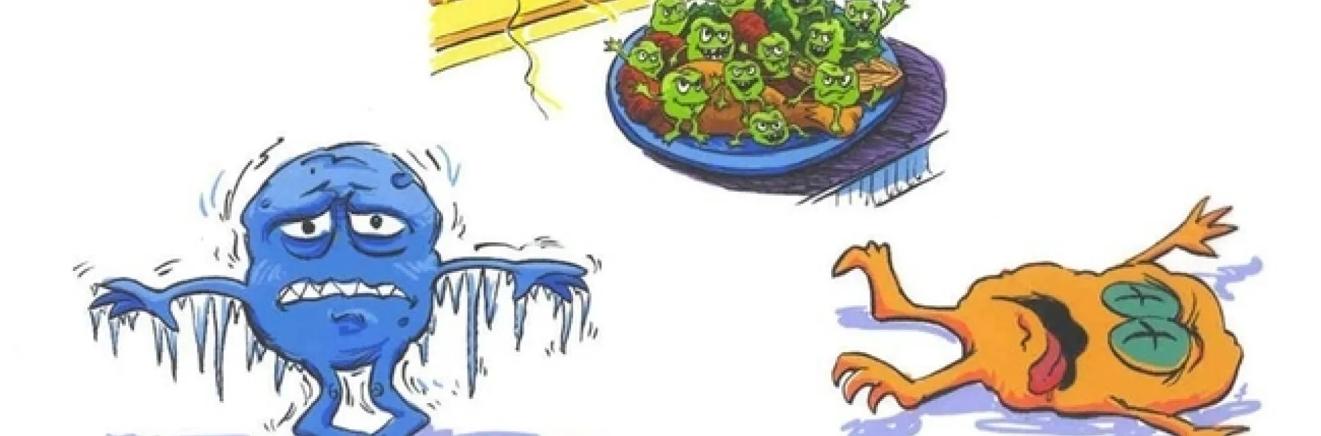 Zona de peligro: La bacteria crece rápidamente entre los 40 y 140 grados.