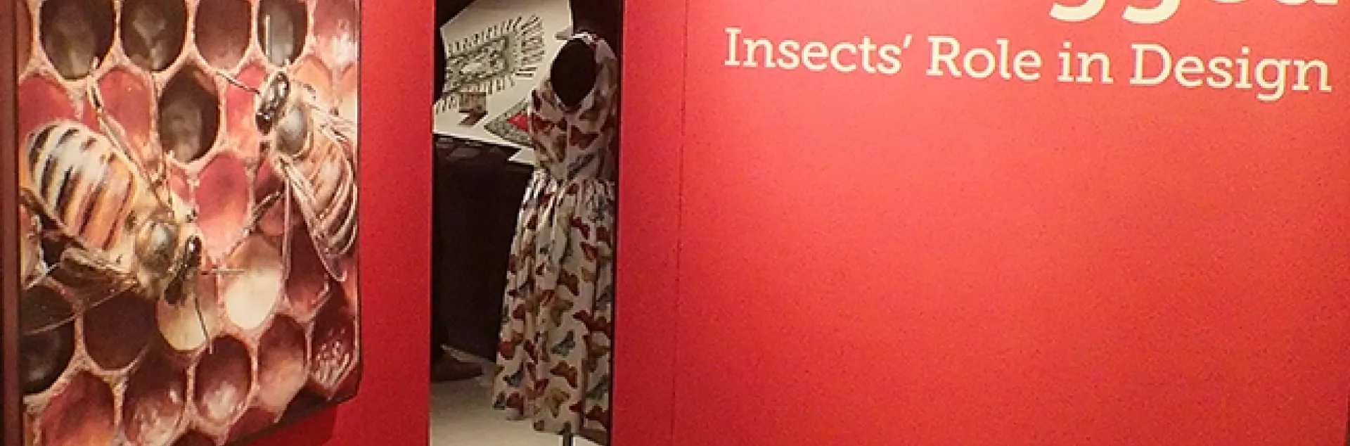 "It's Bugged: Insects' Role in Design," an exhibit in Cruess Hall that explores the connection between insects and people, will be open from noon to 4 p.m. on Feb. 17. The image of bees is the work of Alex Wild. (Photo by Kathy Keatley Garvey)