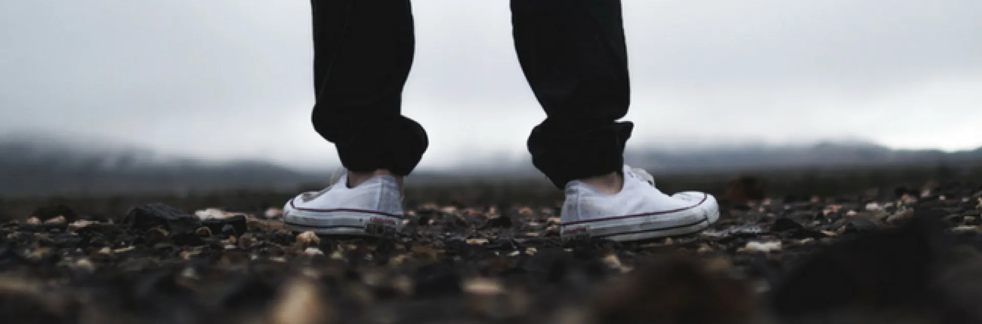 La policia de los pastelitos.