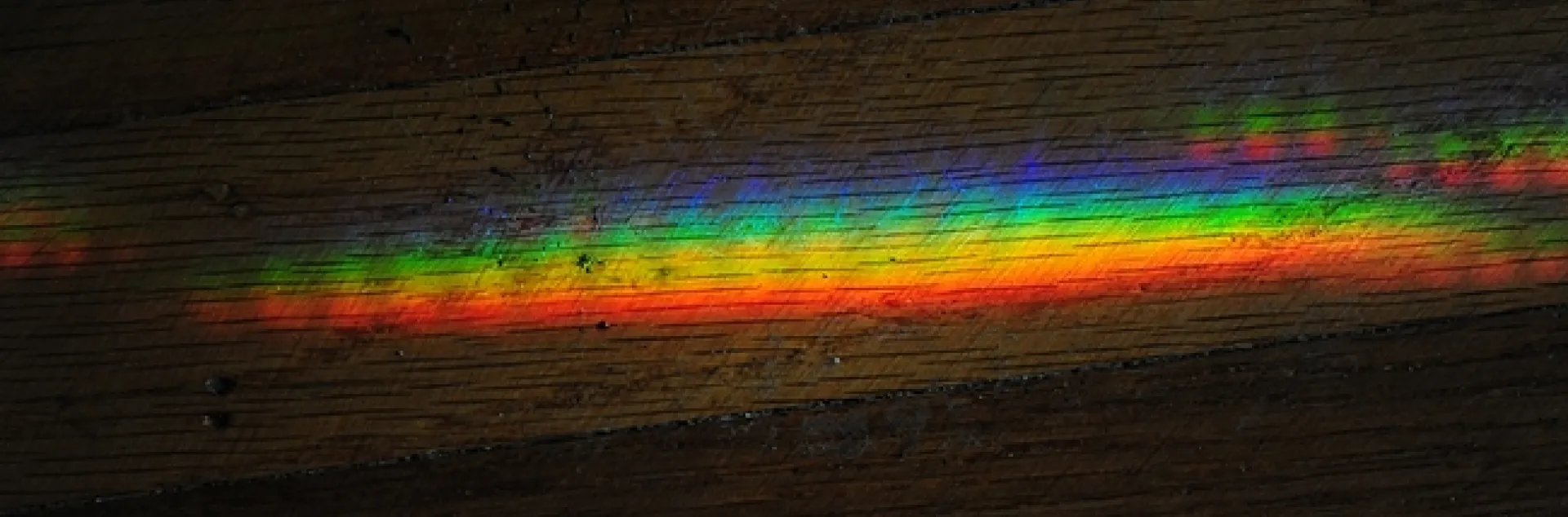 Odds are, due to the rain, you won't find any bees flying around Davis during the UC Davis Bee Symposium, but you might find a rainbow or a reflection. (Photo by Kathy Keatley Garvey)