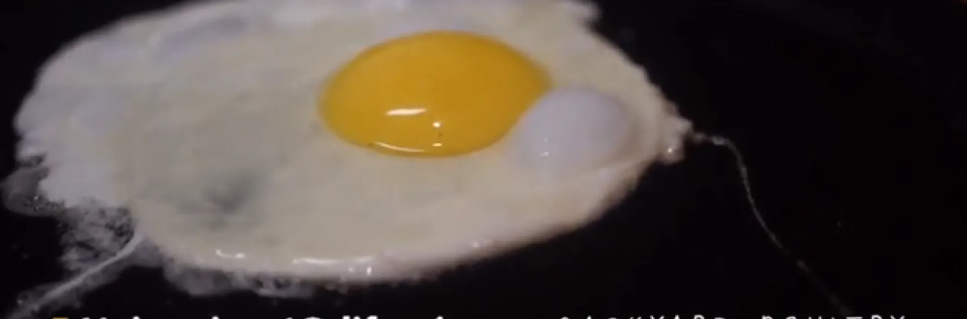 UCANR Backyard Poultry Egg Study