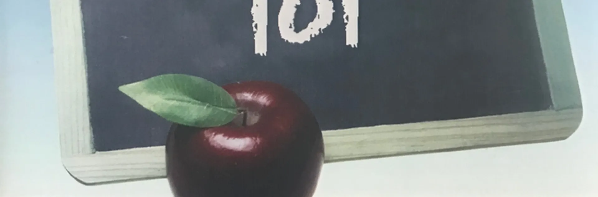 Nut 101 cover