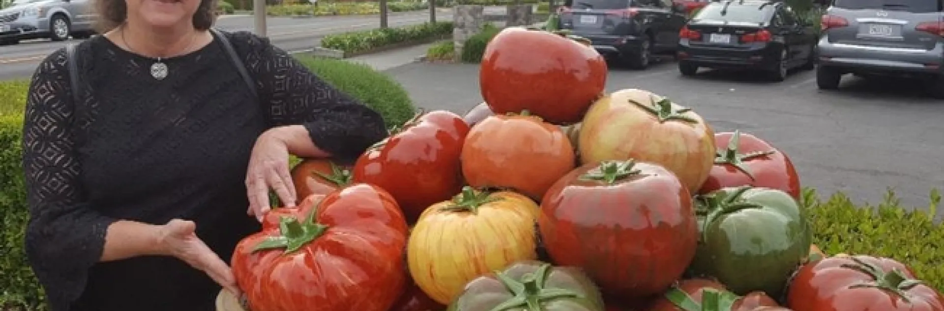 Entomologist/artist Diane Ullman with her tomato sculpture.