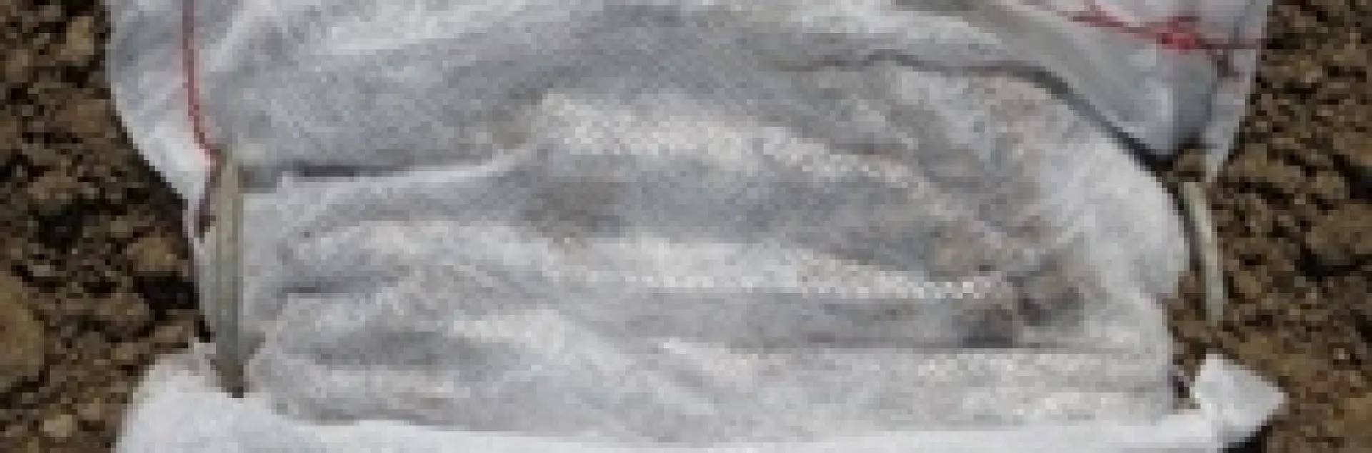 Organic fertilizer pouch on soil surface