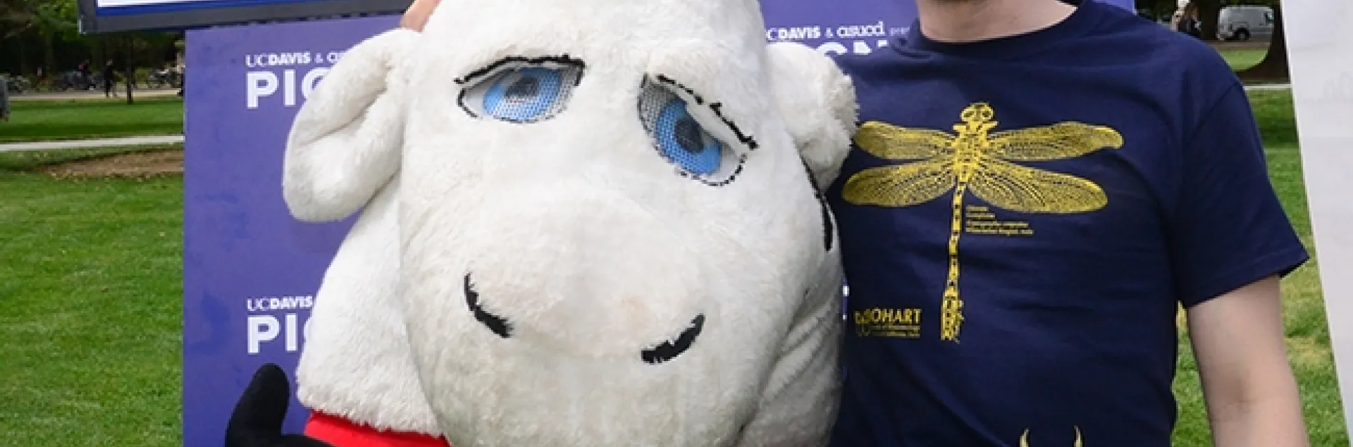 Bohart Museum associate Wade Spencer with his desert hair scorpion, Celeste, poses with the mascot, "Hamburger Cow Patty." (Photo by Kathy Keatley Garvey)