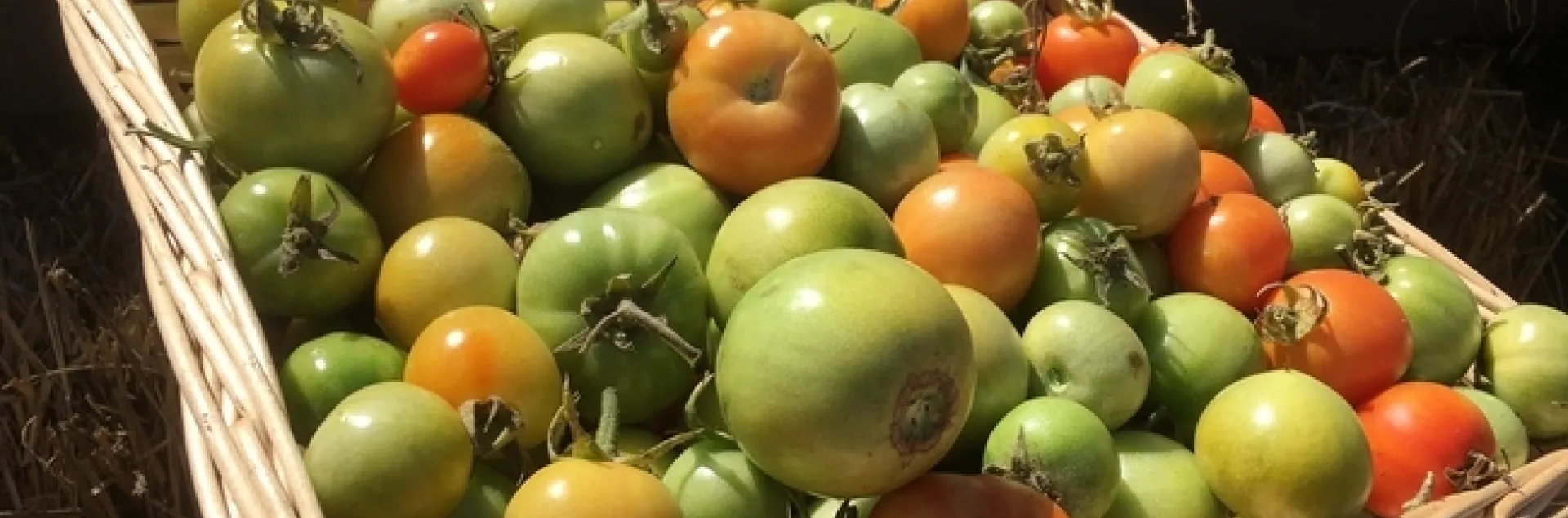 Reunion de miembros de la Iniciativa Alimentaria Global del 2018.