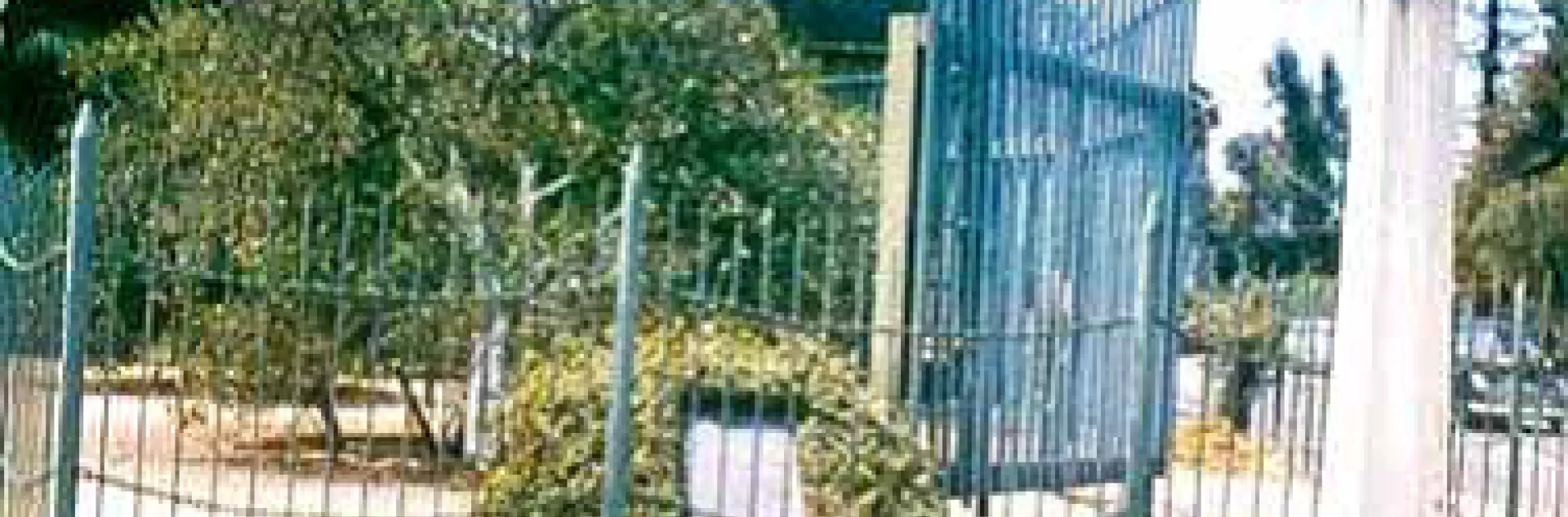 navel Washington in Riverside