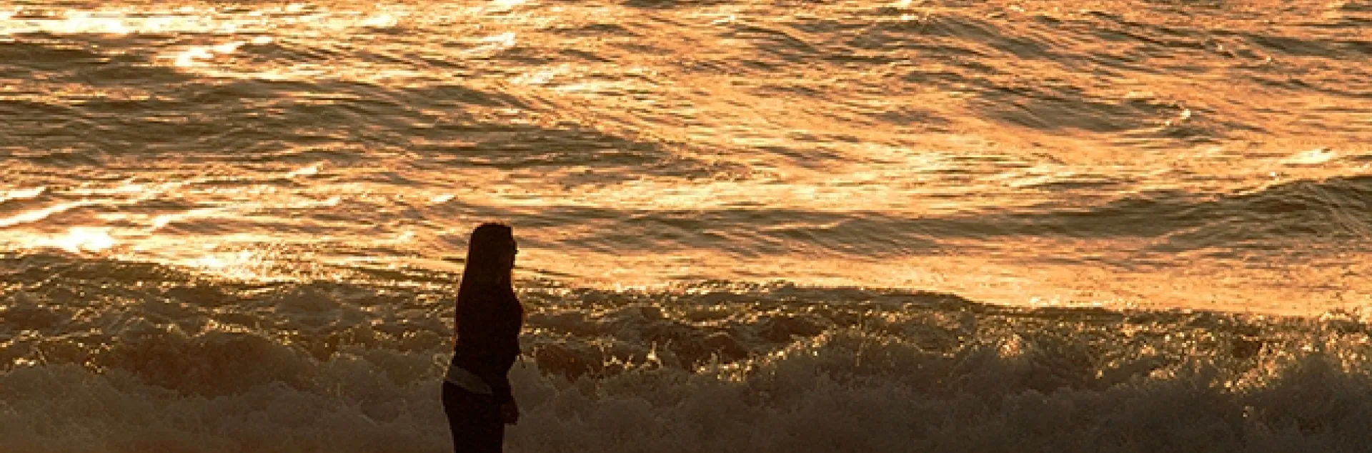 Statistics indicate physicians diagnose 60,000 new cases of Parkinson's disease every year in the United States. The average age of onset is 60. (Photo by Kathy Keatley Garvey)