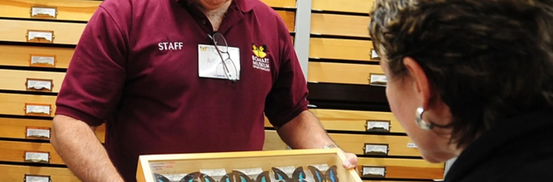 Entomologist Jeff Smith, curator of the butterfly and moth specimens at the Bohart Museum of Entomology, enjoys showing insects. (Photo by Kathy Keatley Garvey)