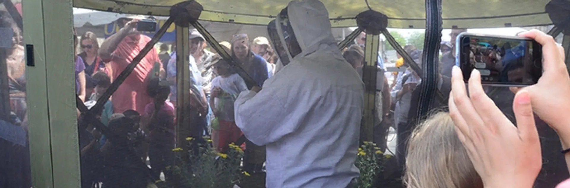 Large crowds gathered around Extension apiculturist Elina Lastro Niño as she opened a bee hive at the California Honey Festival and talked about bees. (Photo by Kathy Keatley Garvey)