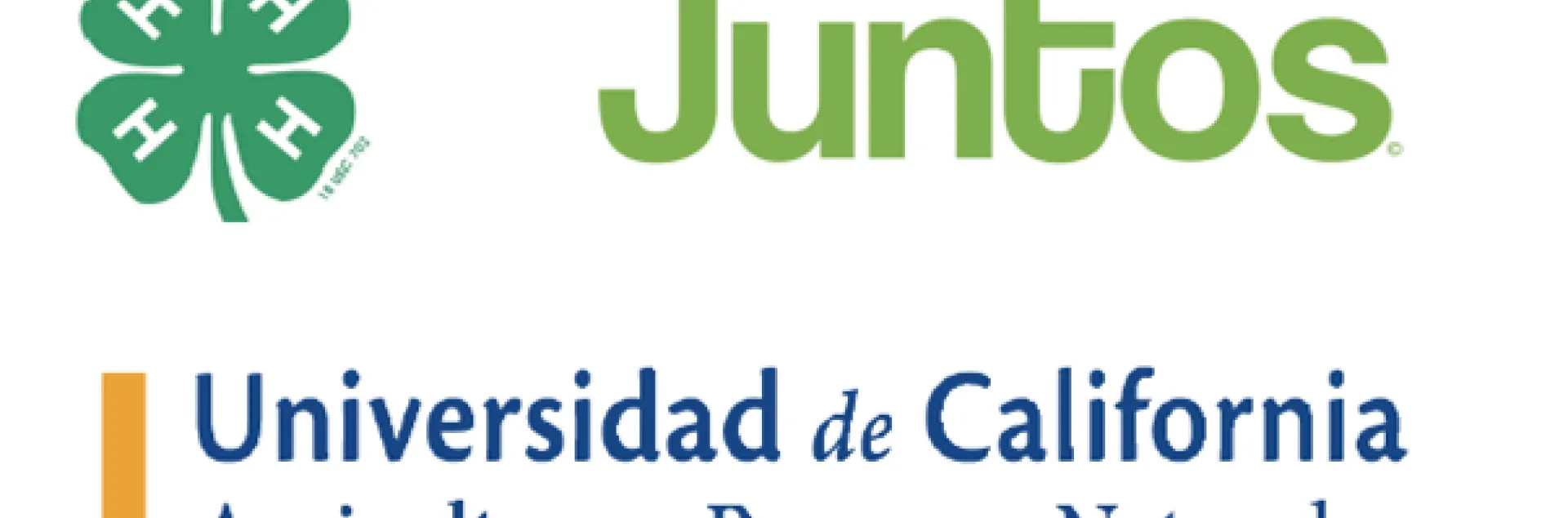 juntos logo