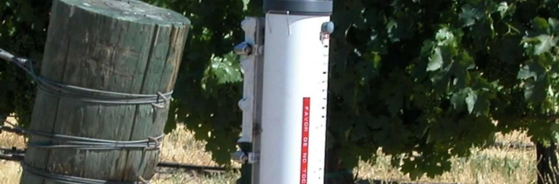 atmometer grapes