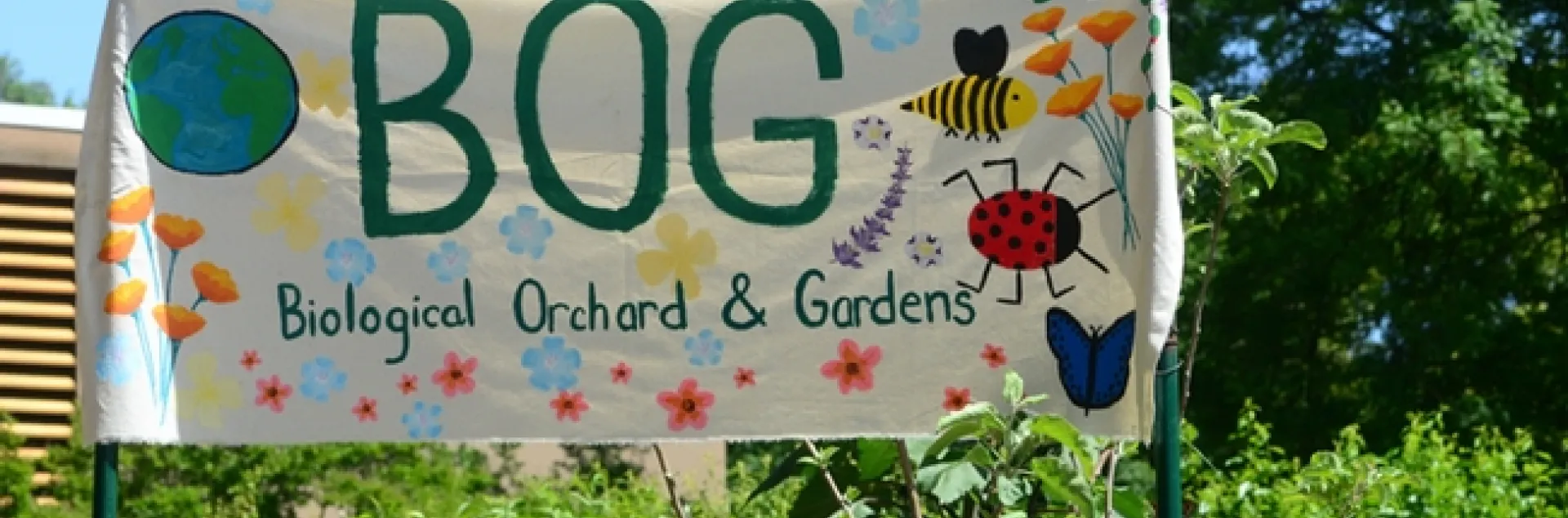 The Biological Orchard and Gardens (BOG) sign features floral and insect designs. It's located by the Mann Laboratory, UC Davis campus. (Photo by Kathy Keatley Garvey)