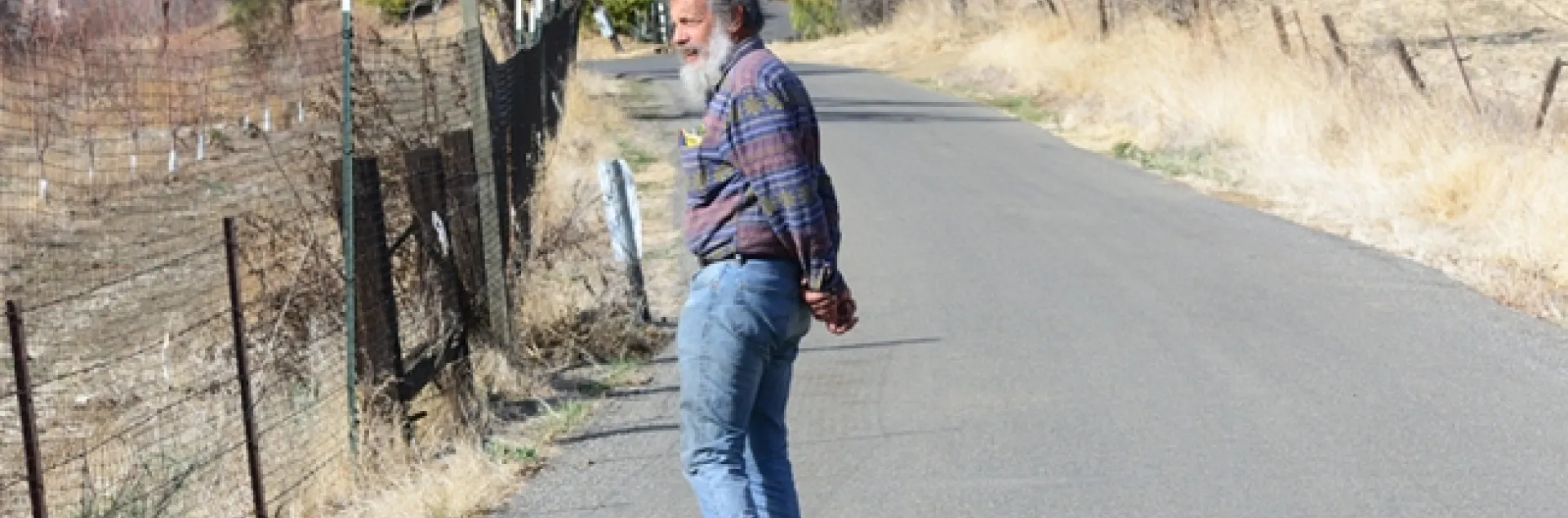 Art Shapiro, UC Davis distinguished professor of evolution and ecology, counting butterflies in Gates Canyon, Vacaville, on Jan. 26, 2014. (Photo by Kathy Keatley Garvey)