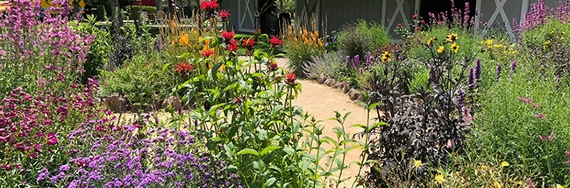 This is an overview of part of Kate Frey's pollinator garden at Sonoma Cornerstone. (Photo by Kathy Keatley Garvey)