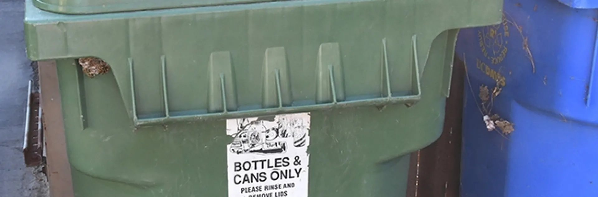 A sign on a UC Davis recycling bin clearly says "Bottles and Cans Only." It says nothing about wasps. (Photo by Kathy Keatley Garvey)
