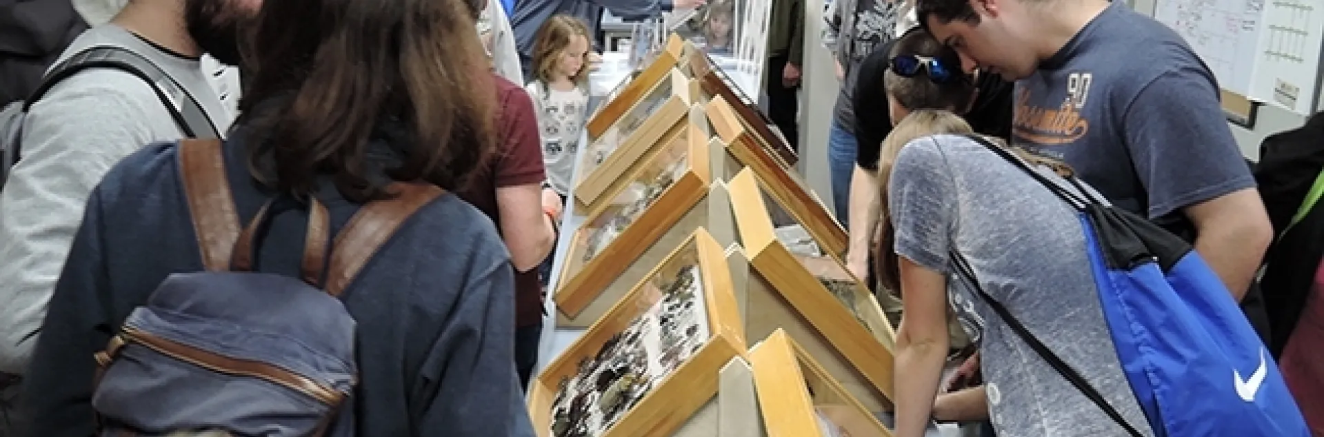 Thousands attended the UC Davis Biodiversity Museum Day; a video is now posted on YouTube. Here visitors check out the displays at the Bohart Museum of Entomology. The 2019 Biodiversity Museum Day is set Feb. 16. (Photo by Kathy Keatley Garvey)