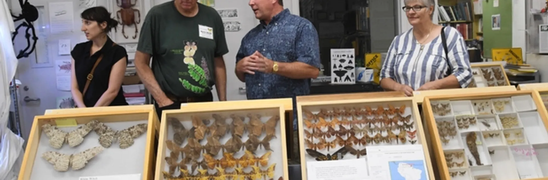 Retired entomologist and UC DAvis alumnus Norm Smith (second from left) talks to visitors at the Bohart Museum of Entomology's "Moth Night." The white witch (see display on the far left) is the largest moth in the world. (Photo by Kathy Keatley Garvey)