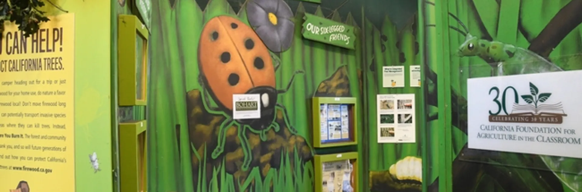 The California State Fair's Insect Pavilion lauded the Bohart Museum of Entomology for donating insect specimens. (Photo by Kathy Keatley Garvey)