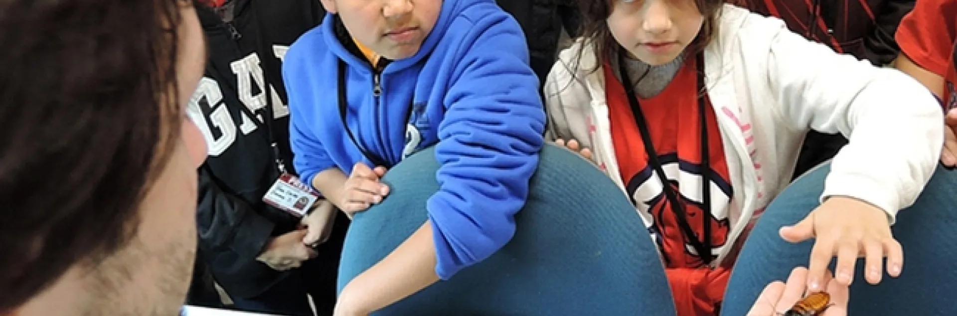 Children of California migratory workers react to a Madagascar hissing cockroach during their tour of the Bohart Museum of Entomology. A news story about the event won a gold or first-place award in the ACE competition. (Photo by Kathy Keatley Garvey)