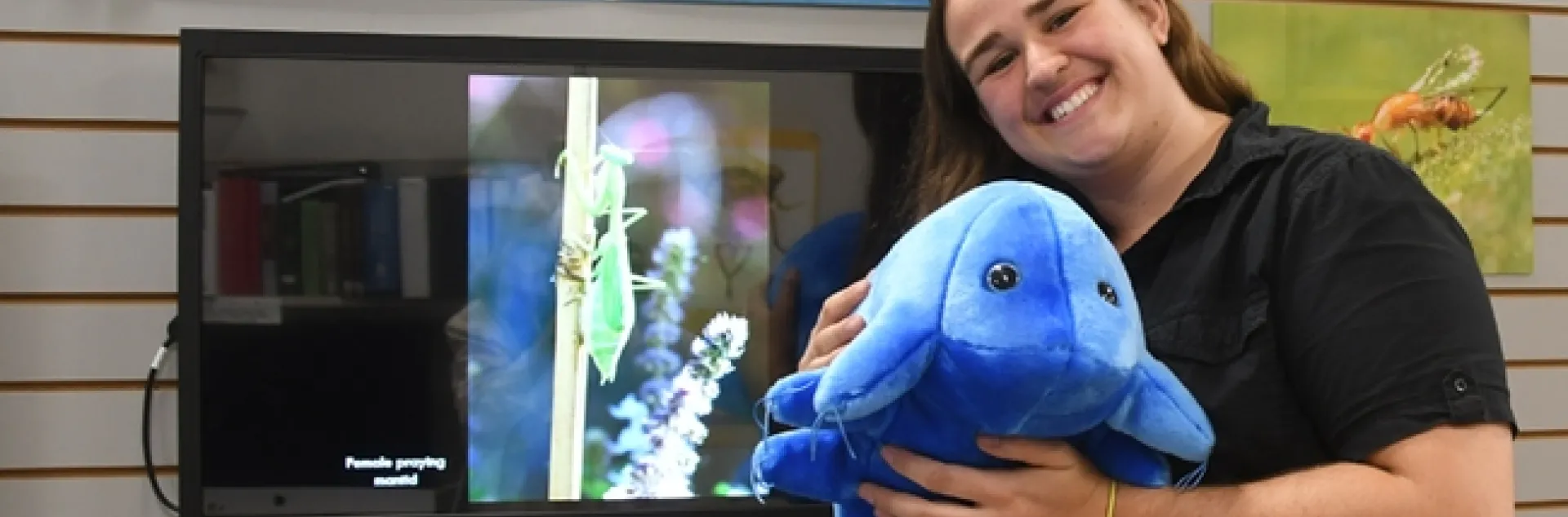 UC Davis student and Bohart associate Emma Cluff holds a plush water bear from the Bohart Museum's gift shop. It costs about $30, plus tax, will all proceeds to finance educational programs at the Bohart. (Photo by Kathy Keatley Garvey)