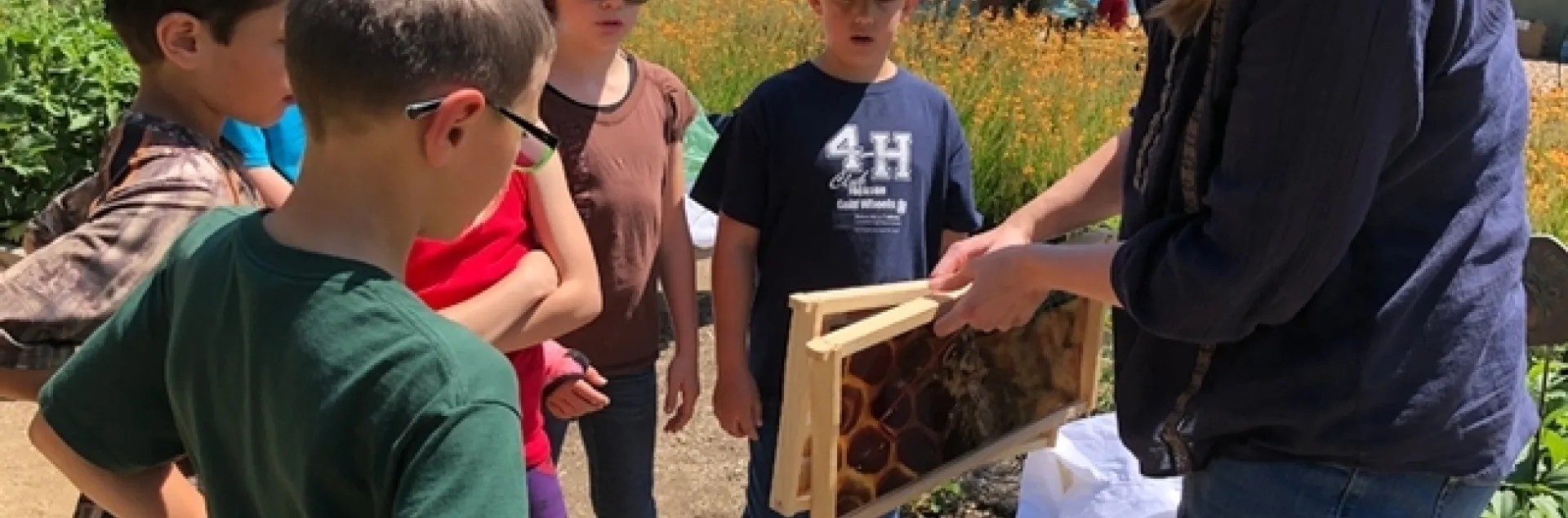 Postdoctoral scholar Laura Brutscher of the Elina Lastro Niño lab at UC Davis talks about who lives in the hive. (Photo by Kathy Keatley Garvey)