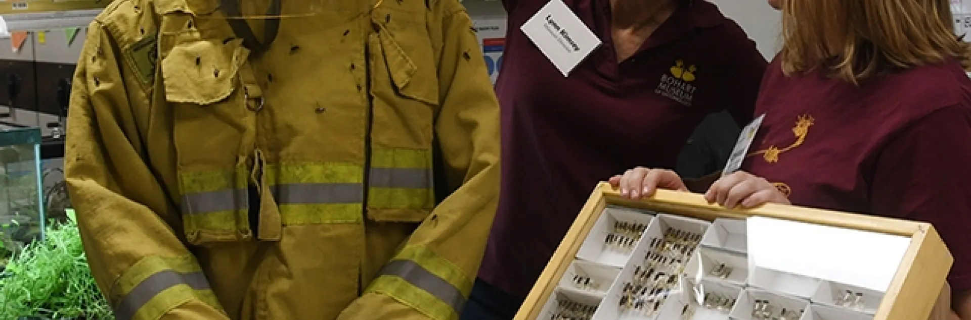 Lynn Kimsey, director of the Bohart Museum of Entomology and animal biology major Crystal Homicz look at the turncoat covered with pinned beetles. (Photo by Kathy Keatley Garvey)