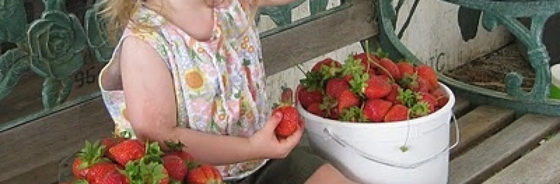 ¡Fresas! - Pacific Star Gardens