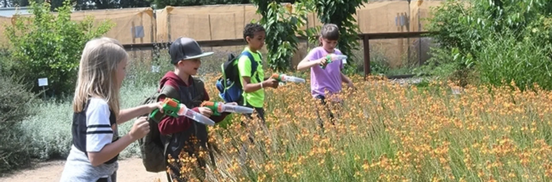 This catch-and-release activity is especially popular among children in the Häagen-Dazs Honey Bee Haven. They catch, examine and release bees, including honey bees, bumble bees and carpenter bees. (Photo by Kathy Keatley Garvey)