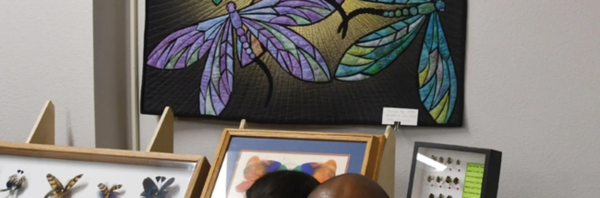 This quilted wall hanging of dragonflies is the work of quiltmaker and seamstress Ann Babicky of Schofield, Wis. Entomologist Jeff Smith, who curates the butterfly and moth specimens in the Bohart, loaned it for the open house. (Photo by Kathy Keatley Garvey)