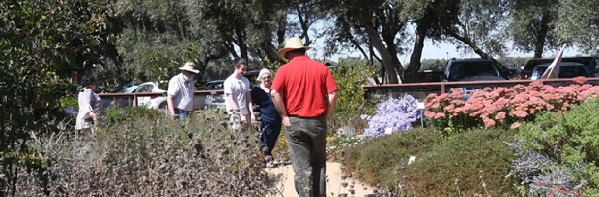 Visitors check out the flowers at the Häagen-Dazs Honey Bee Haven. (Photo by Kathy Keatley Garvey)