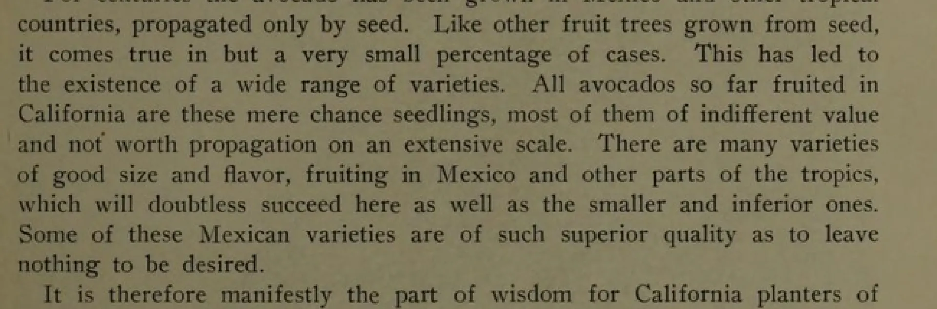 Cover Avocado in Southern California - Wilson Popenoe
