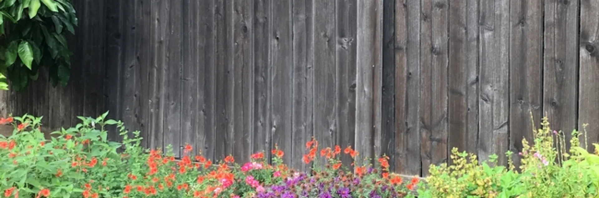 photos by Michelle Davis