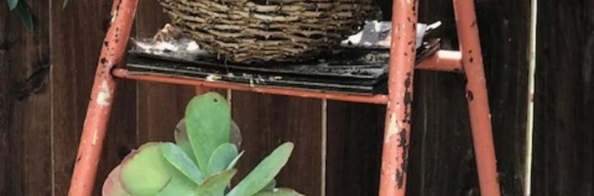 photos by Karen Metz