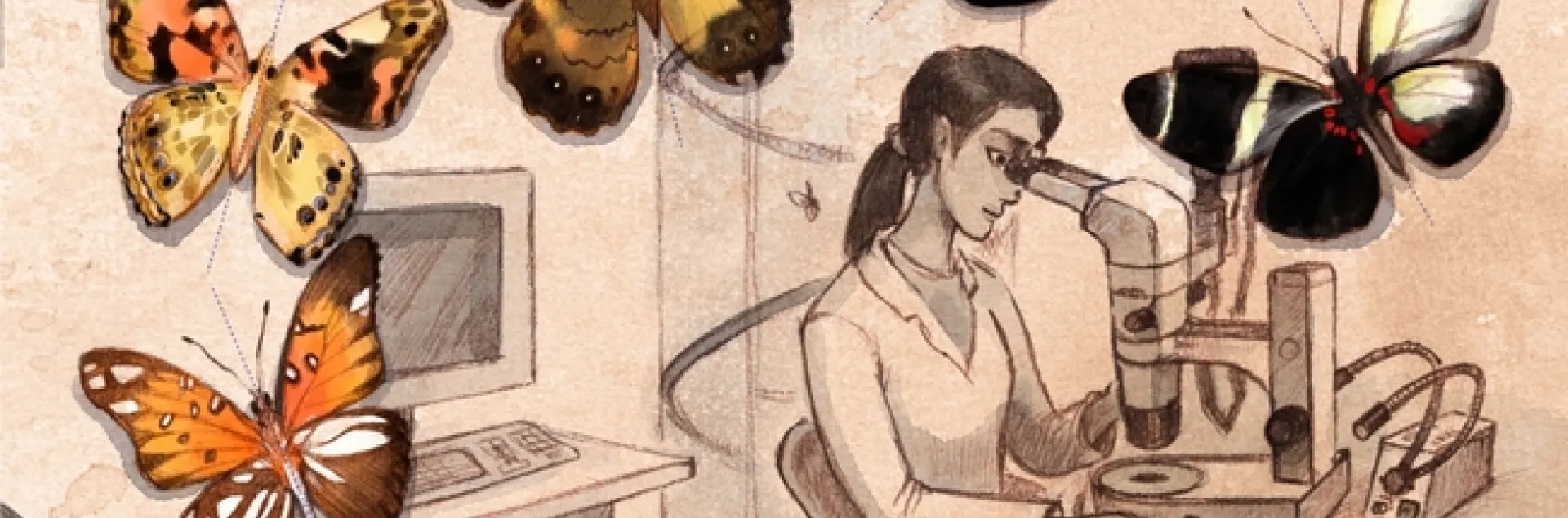 Butterflies showing mutated wings on their right sides. This image was used in one of Arnaud Martin's research publications. (Credit: Nathalie Vessillier)