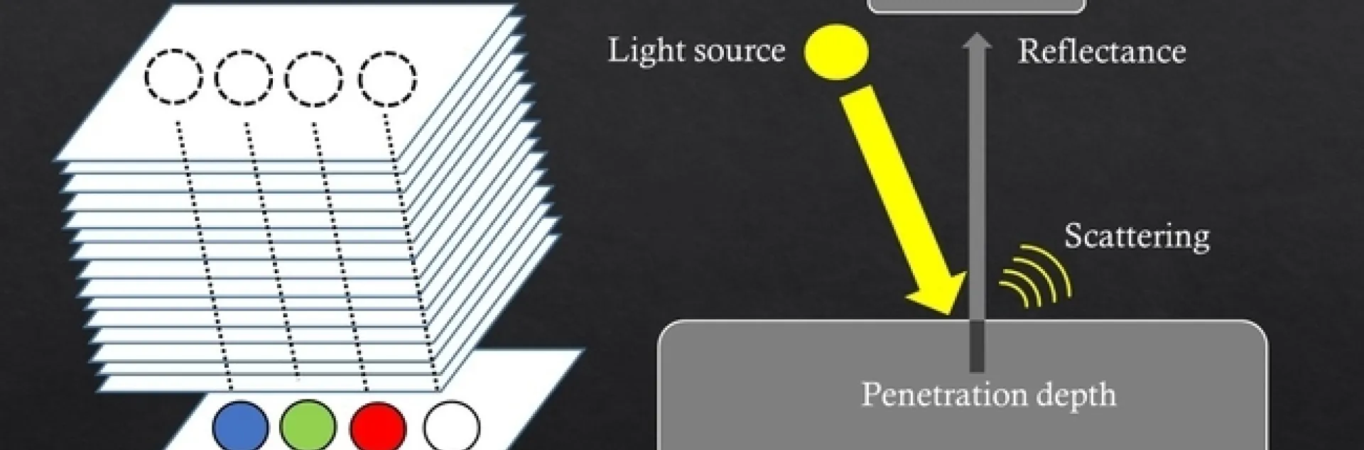 Christian Nansen of the UC Davis Department of Entomology and Nematology, illustrated his research paper, published in PLOS ONE, with this graphic.